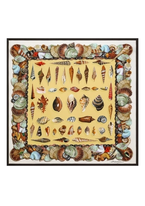 Dolce & Gabbana shell-print silk scarf - Yellow
