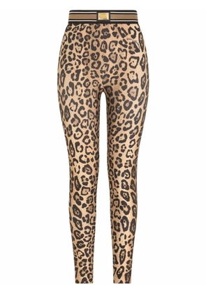 Dolce & Gabbana leopard-print jersey leggings - Brown