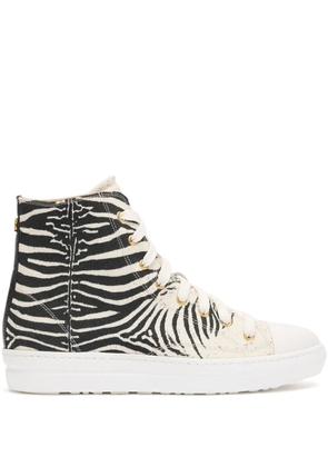 Roberto Cavalli zebra-print sneakers - Black