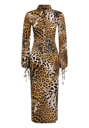 Roberto Cavalli leopard-print midi dress - Brown