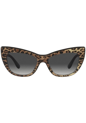 Dolce & Gabbana Eyewear leopard-print tinted sunglasses - Brown