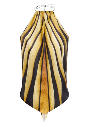 Roberto Cavalli Ray of Gold print halterneck silk top
