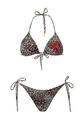 SOFIA ERHAN KYLE leopard-print bikini - Neutrals