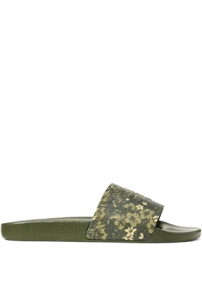 Polo Ralph Lauren printed slides - Green