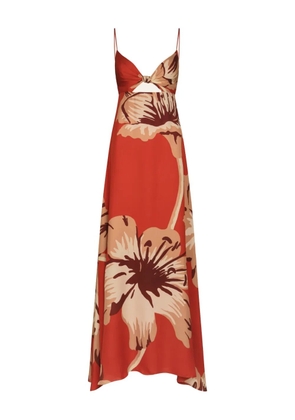 Johanna Ortiz Dreamscape dress - Red
