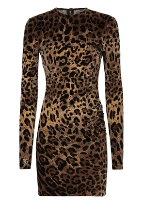 Dolce & Gabbana logo-plaque leopard-print dress - Brown