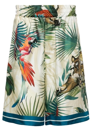 Roberto Cavalli Jungle-print silk shorts - Multicolour