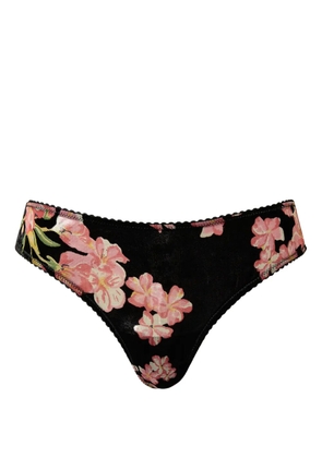 TWINSET devoré velvet briefs - Black