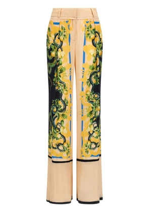 Roberto Cavalli floral-print straight-leg trousers - Black