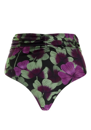 Agua By Agua Bendita floral-print ruched bikini bottoms - Black