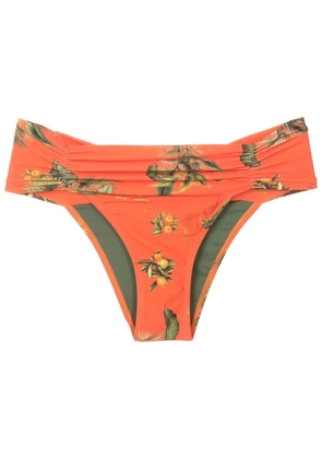 Lygia & Nanny Jasper floral-print bikini bottoms - Orange