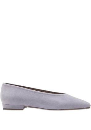 Flattered pointed-toe suede flat pumps - Purple