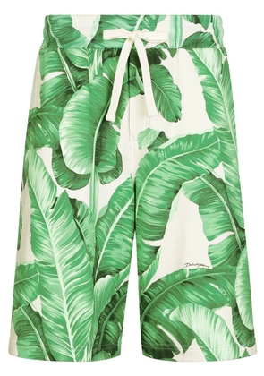 Dolce & Gabbana leaf-print cotton track shorts - Green