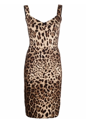 Dolce & Gabbana leopard-print corset midi dress - Neutrals