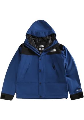 The North Face Mountain jacket - Blue