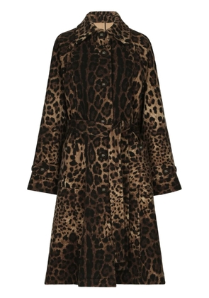 Dolce & Gabbana leopard-print belted single-breasted coat - Brown