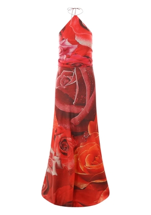 Roberto Cavalli Garden Rose-print maxi dress - Red