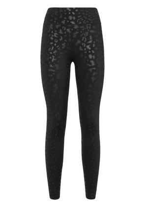 Plein Sport leopard-print leggings - Black