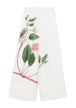 Pierre-Louis Mascia floral-print trousers - White