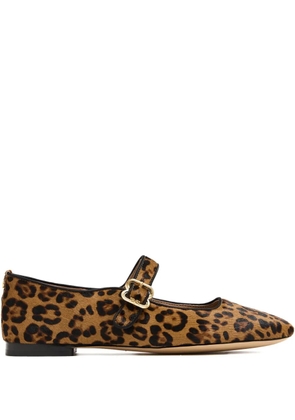 Sam Edelman Michaela ballet flats - Brown