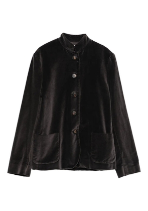 Rosso 35 velvet patch-pocket jacket - Brown