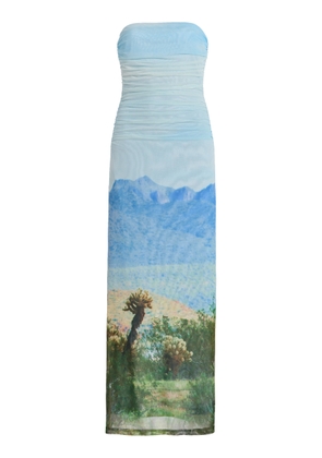 Significant Other Exclusive Sura Strapless Printed Mesh Maxi Dress - Moda Operandi