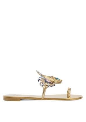 Giuseppe Zanotti SPIPIOTT