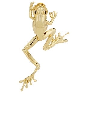 Bottega Veneta Frog Brooch in Yellow Gold - Metallic Gold. Size all.