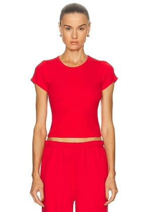 Eterne Short Sleeve Baby Tee in Rouge - Red. Size XS (also in ).