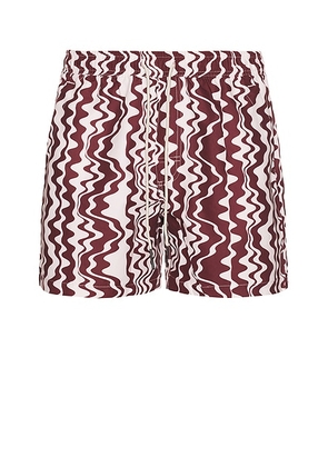 OAS Ruby Verve Swim Shorts in Red - Burgundy. Size XL/1X (also in ).