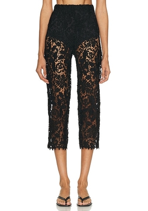 La Porte Gabrielle Lace Capri Pant in Black - Black. Size L (also in M, S, XS).