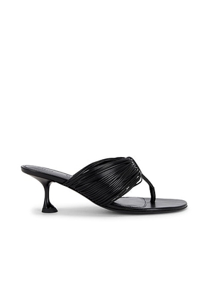 Proenza Schouler Cable Thong Sandal in Black - Black. Size 41 (also in ).
