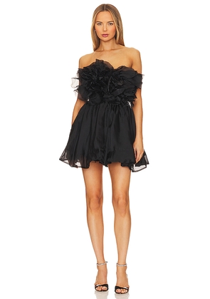 Bardot Fleurette Mini Dress in Black. Size 6. Also in 10.