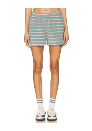 BEACH RIOT Rayah Short in Sage. Size M. Also in XS.