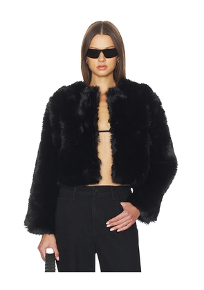 BLANKNYC Crop Faux Fur Coat in Black. Size L. Also in M, S, XS.
