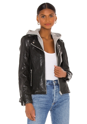 LAMARQUE Anna Jacket in Black. Size M. Also in XS.