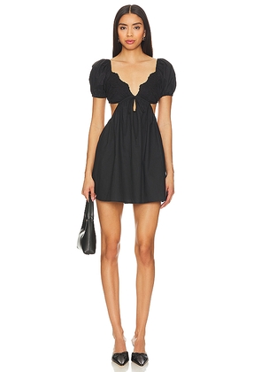 MORE TO COME Jara Mini Dress in Black. Size M. Also in XL.