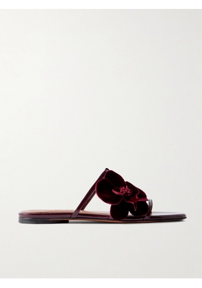 Zimmermann - Orchid Appliquéd Velvet-trimmed Glossed-leather Slides - Burgundy - IT35,IT36,IT37,IT38,IT39,IT40