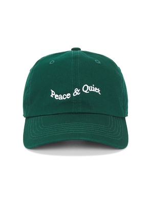 Museum of Peace and Quiet Wordmark Tye Dye Dad Hat in Green.