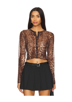 superdown Becky Sheer Top in Tan. Size S. Also in XXS.