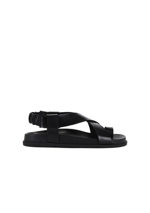 RAYE Charli Sandal in Black. Size 6. Also in 6.5.