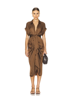 Steve Madden Tori Dress in Chocolate. Size 4. Also in 6, 8.