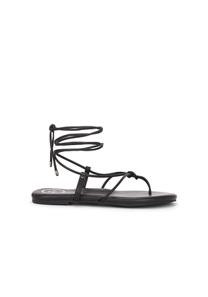 Solei Sea Angie Sandal in Black. Size 11. Also in 6.