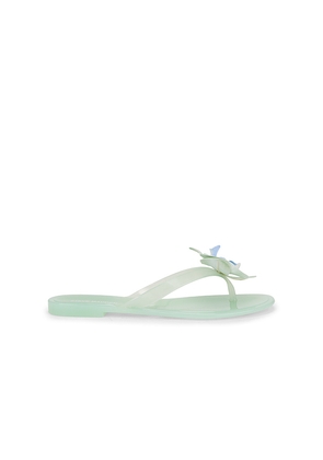 Steve Madden Poppyseed Flip Flops in Mint. Size 7. Also in 8, 9.
