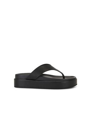 Tony Bianco Jetta Sandal in Black. Size 36. Also in 37, 38, 39, 40, 41.
