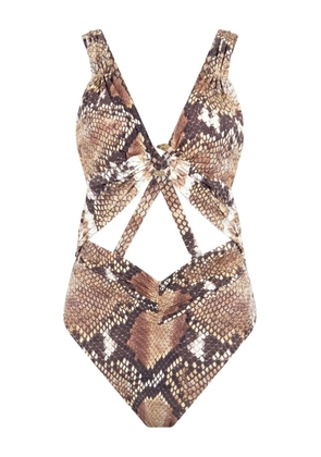 Roberto Cavalli snake-print swimsuit - Brown