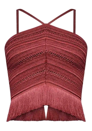 PatBO x Camila Coelho Amber fringed top - Brown