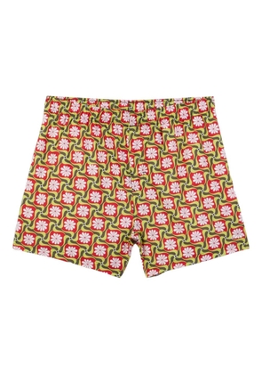 Osklen flower-path print shorts - Green