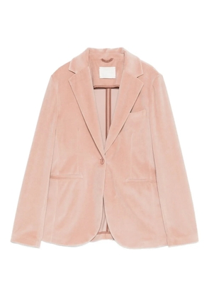 Circolo 1901 single-breasted blazer - Pink