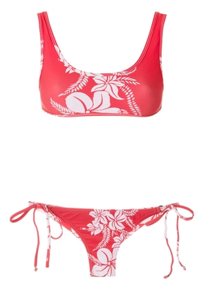 Amir Slama floral-print bikini set - Red